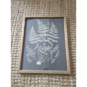 Stupell Industries Framed Botanical Drawing Greens / Gray  Main Colors